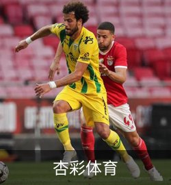 成功案例